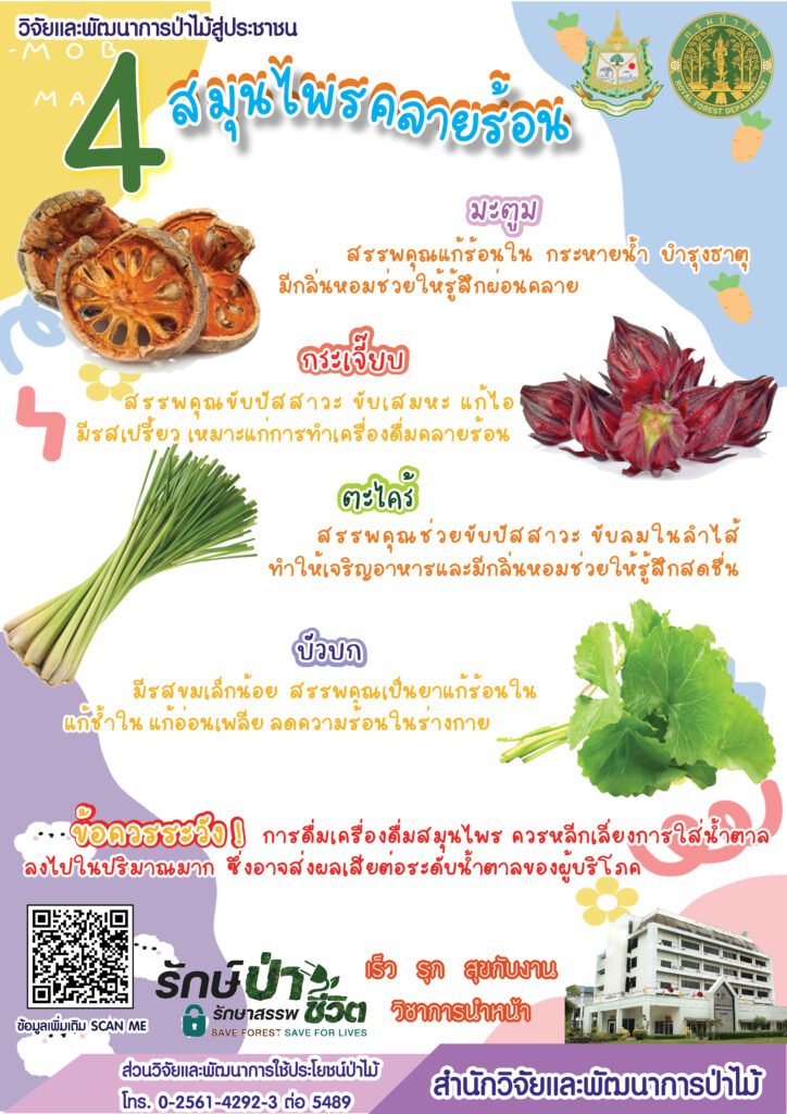 thumbnail of 4สนุนไพรคลายร้อน