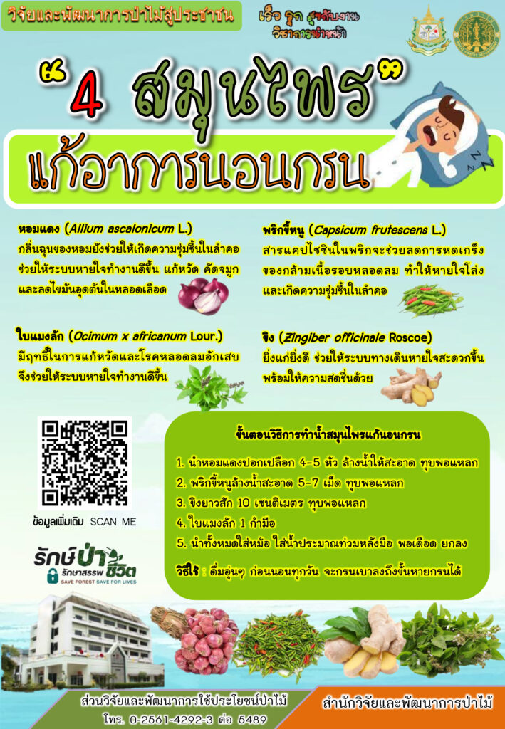 thumbnail of 4สมุนไพรแก้อาการนอนกรน