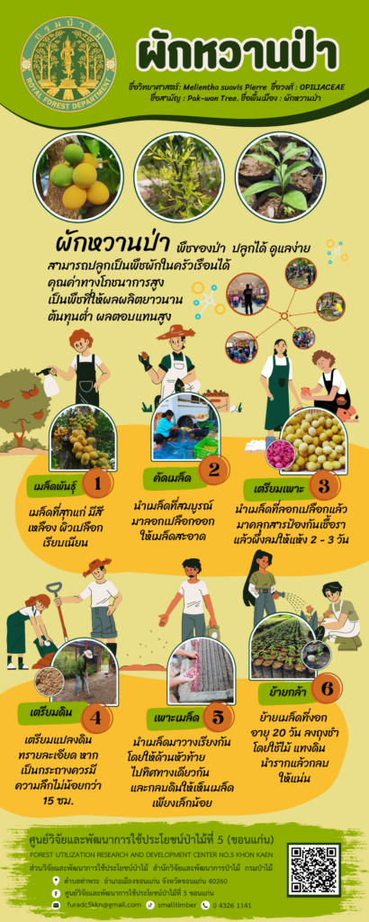 thumbnail of Blue Illustrated Path Design Process Timeline Infographic (1)