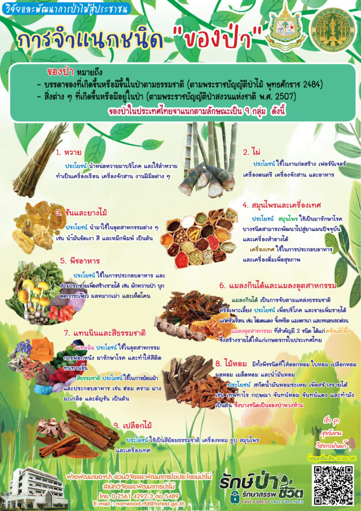 thumbnail of การจำแนกชนิดของป่า