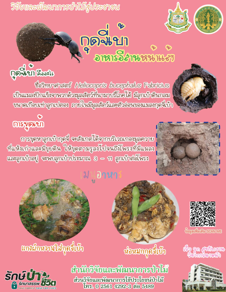 thumbnail of กุดจี่เบ้า อาหารอีสานหน้าแล้ง