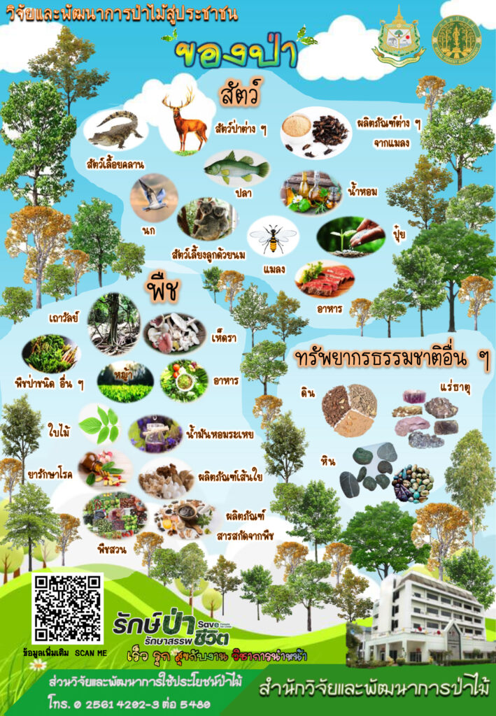 thumbnail of ของป่า