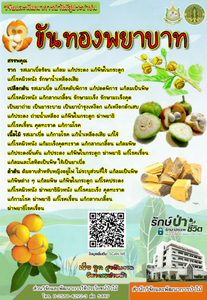 thumbnail of ขันทองพยาบาท