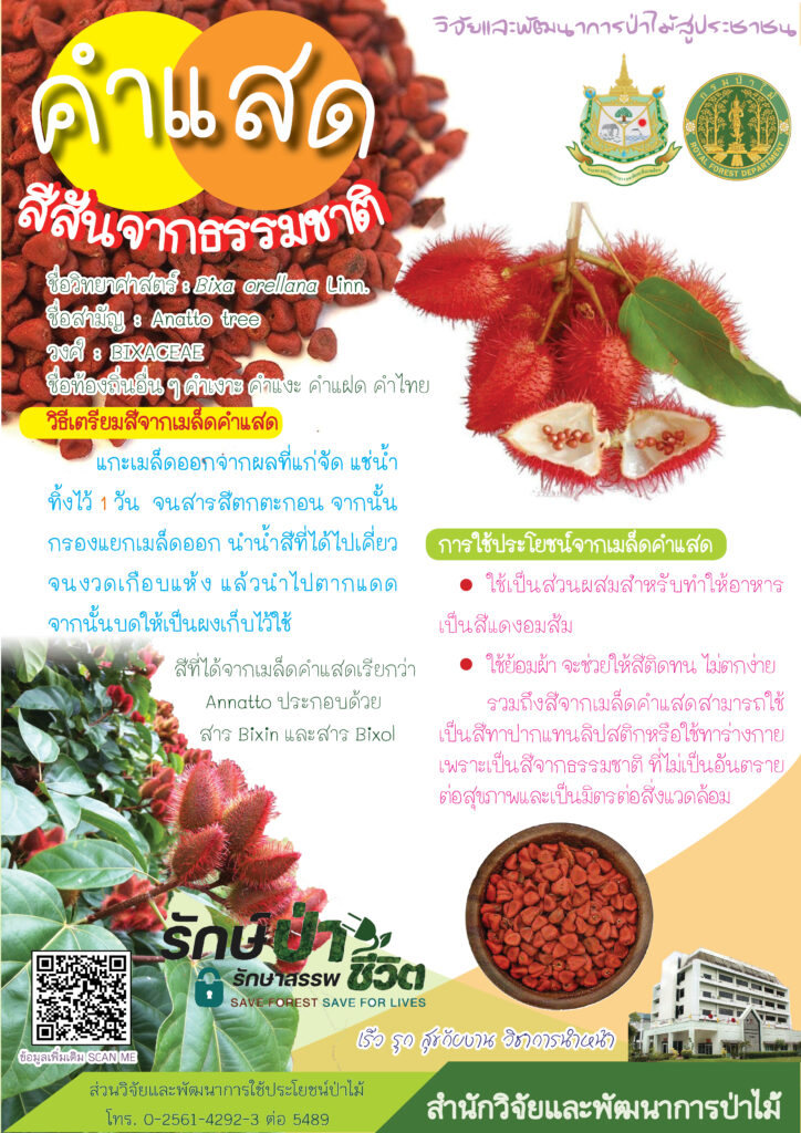 thumbnail of คำแสด สีสันจากธรรมชาติ