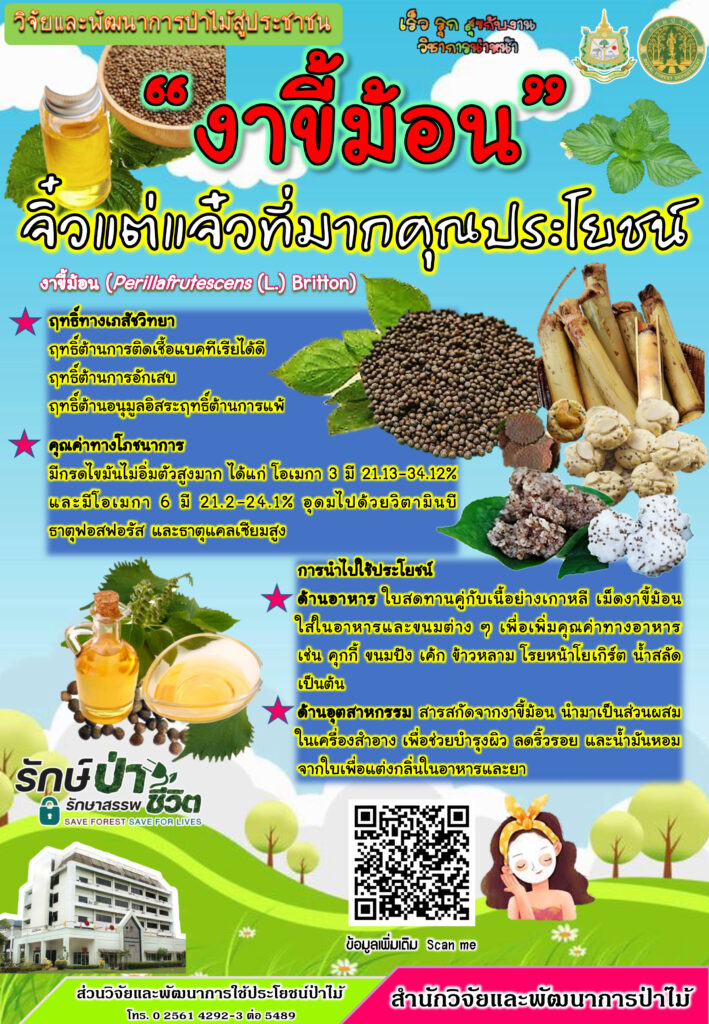 thumbnail of งาขี้ม้อน-จิ๋วแต่แจ๋วที่มากคุณประโยชน์