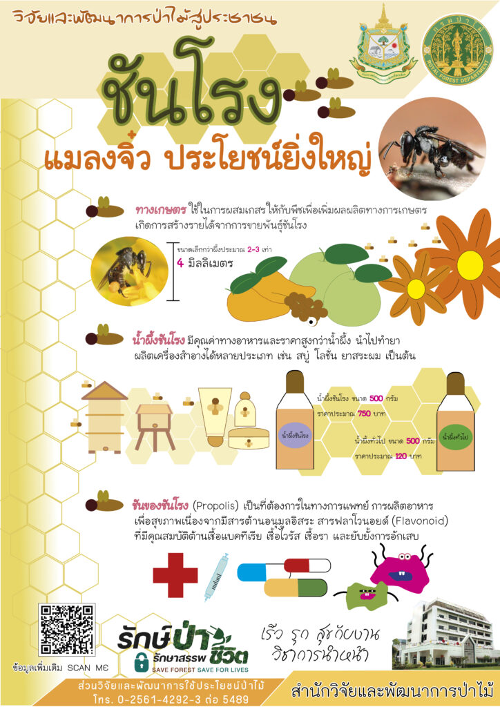 thumbnail of ชันโรง แมลงจิ๋วประโยชน์ยิ่งใหญ่