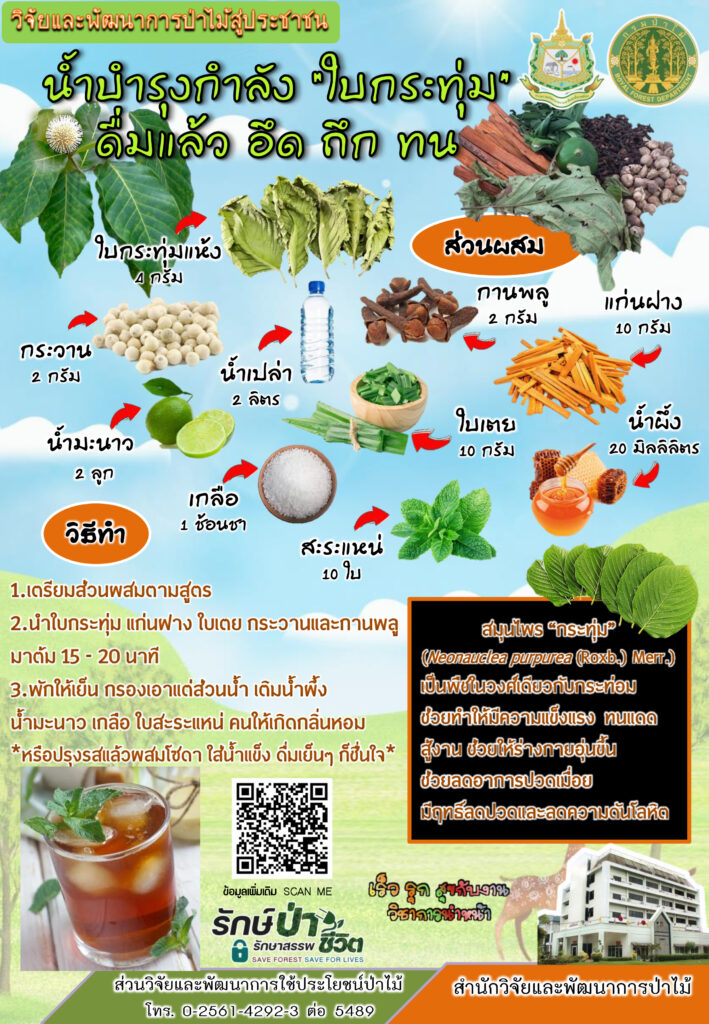 thumbnail of น้ำบำรุงกำลัง-ใบกระทุ่ม-ดื่มแล้ว-อึด-ถึก-ทน