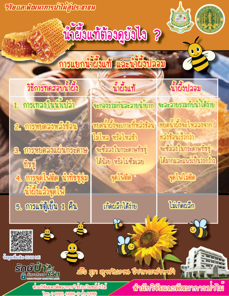 thumbnail of น้ำผึ้งแท้ต้องดูยังไง