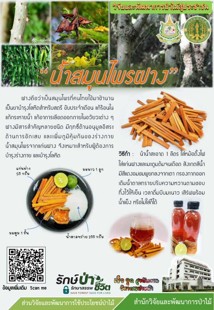 thumbnail of น้ำสมุนไพรฝาง