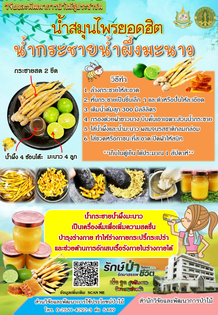 thumbnail of น้ำสมุนไพรยอดฮิต-น้ำกระชายน้ำผึ้งมะนาว