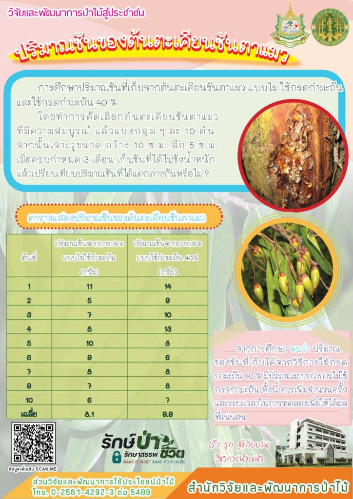 thumbnail of ปริมาณชันของต้นตะเคียนชันตาแมว
