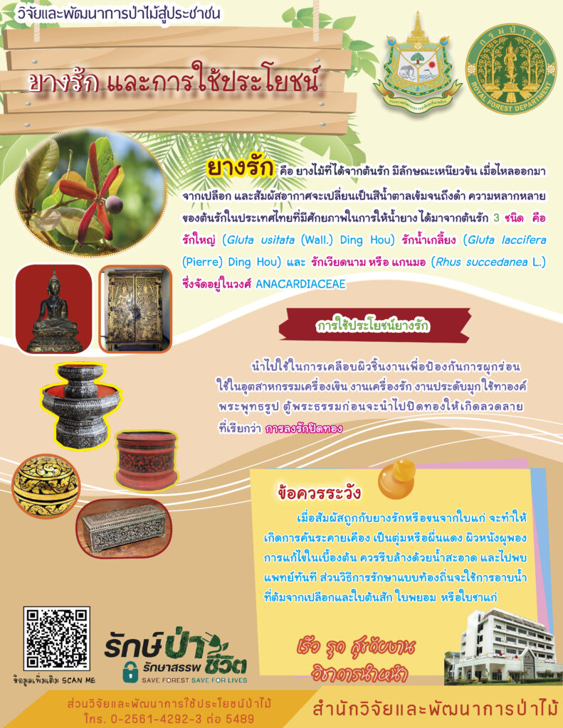 thumbnail of ยางรักและการใช้ประโยชน์
