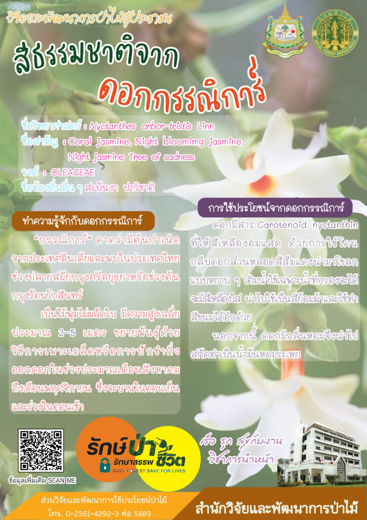 thumbnail of สีธรรมชาติจากดอกกรรณิการ์