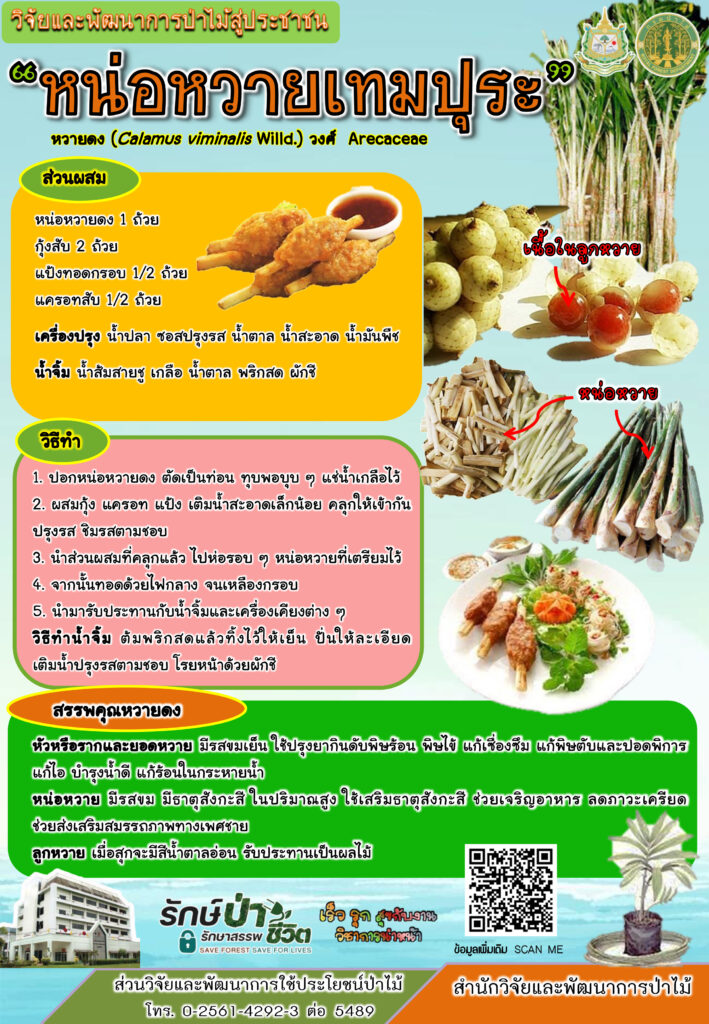 thumbnail of หวายเทมปุระ