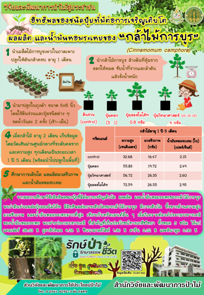 thumbnail of อิทธิพลของชนิดปุ๋ยที่มีต่อการเจริญเติบโต-ผลผลิต-และน้ำมันหอมระเหย-กล้าไม้การบูร