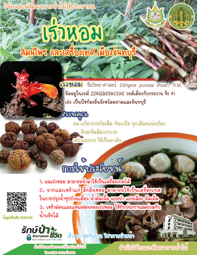 thumbnail of เร่วหอม สมุนไพรและเครื่องเทศ เมืองจันทบุรี