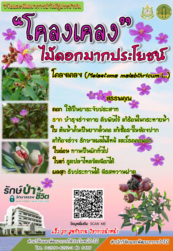 thumbnail of โคลงเคลง-ไม้ดอกมากประโยชน์