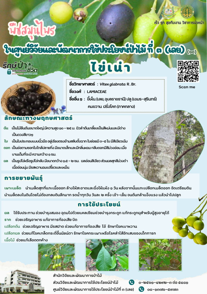 thumbnail of ไข่เน่า