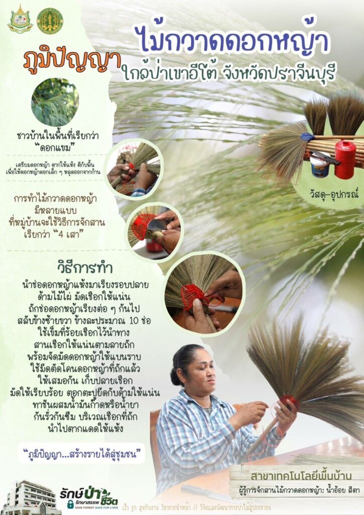thumbnail of ไม้กวาวดอกหญ้า