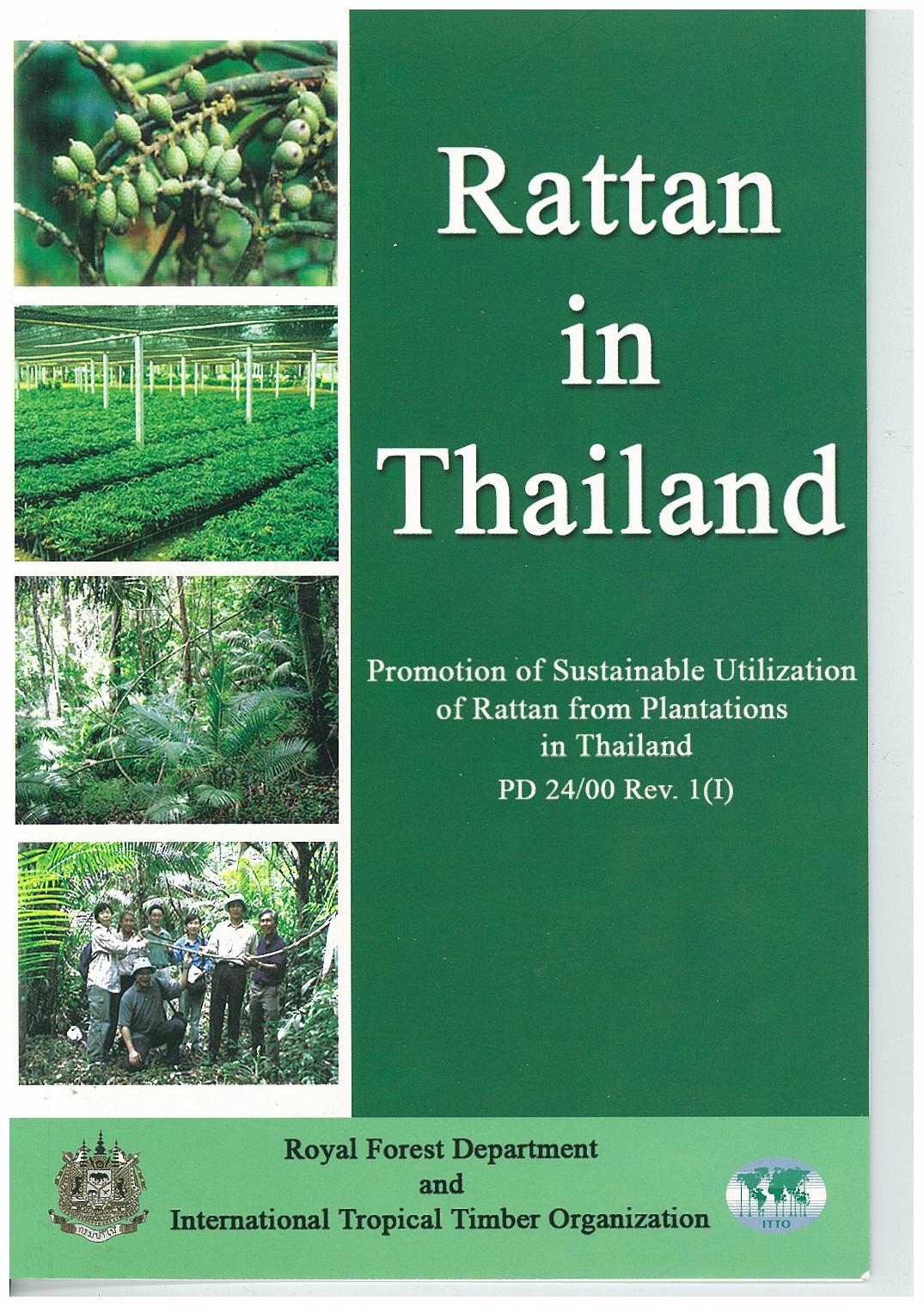 thumbnail of Rattan in Thailand